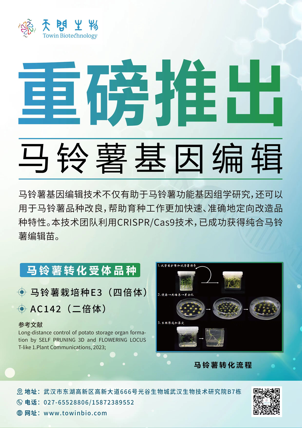 馬鈴薯基因編輯.png